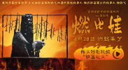 在线视频一区二区三区在线播放